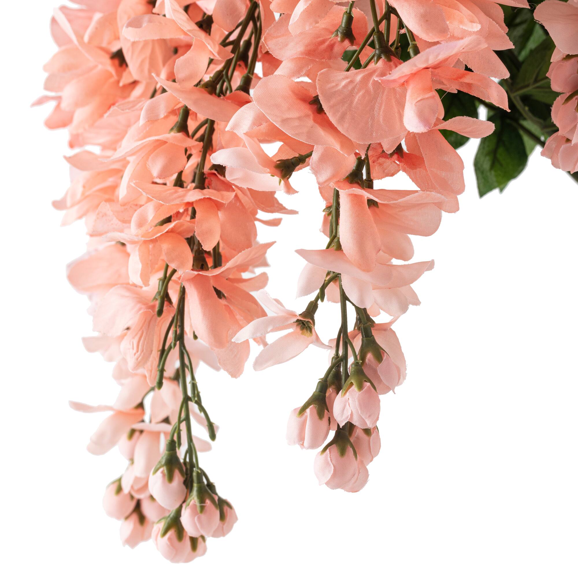 8 Pack: Coral Wisteria Bush by Ashland®